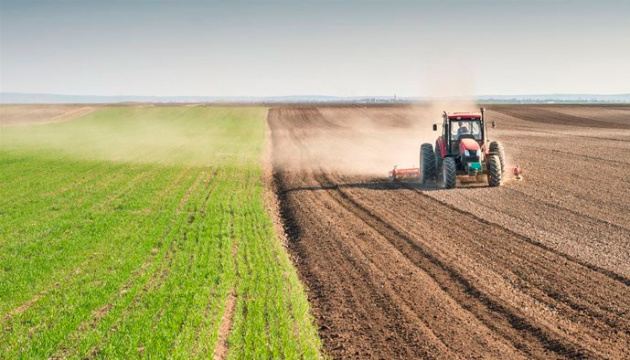 На Житомирщині збільшили посівні площі під кукурудзу, соняшник та сою