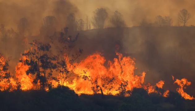 Лісові пожежі у Туреччині: кількість загиблих зросла до 11