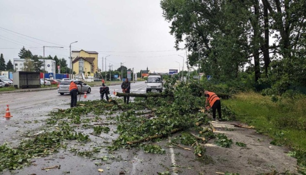 Львів накрила потужна гроза - повалені близько 100 дерев та пошкоджені дахи