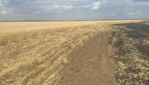 Унаслідок ворожого обстрілу на Херсонщині знищені 25 гектарів озимої пшениці