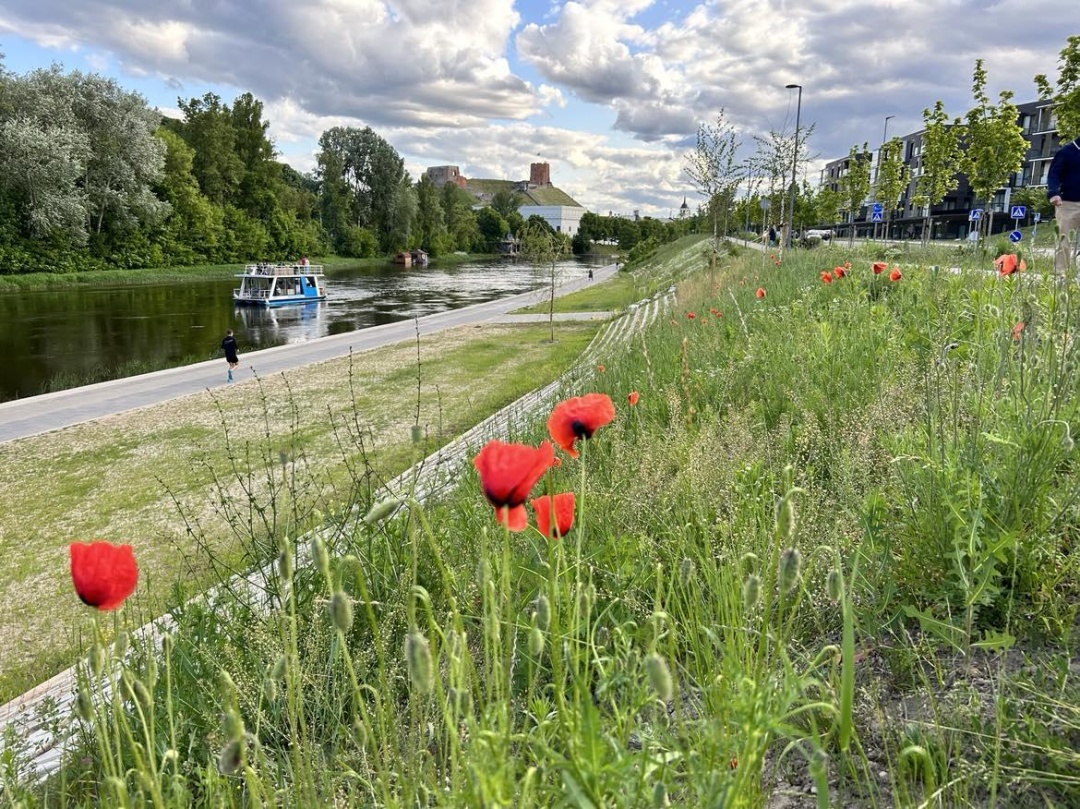 Литва. Набержена річки Неріс. Фото Ганна Довбах