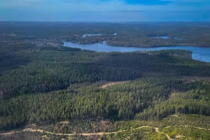 Частка заповідних земель у користуванні ДП «Ліси України» становить 16%