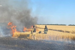 На Донеччині через російські обстріли за добу згоріли до 100 га пшениці