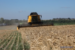 In Ukraine bereits mehr als 22 Mio. t Getreide und Ölfrüchte geerntet