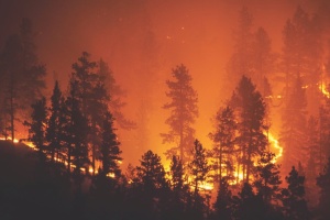 У Канаді через лісові пожежі евакуйовують тисячі людей