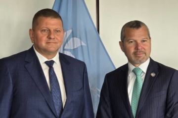 Zaluzhny trata el tema de la seguridad de los corredores de cereales con el secretario general de la OMI