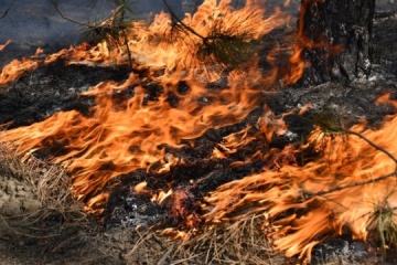 Waldbrände in Region Luhansk nähern sich Sjewjerodonezk