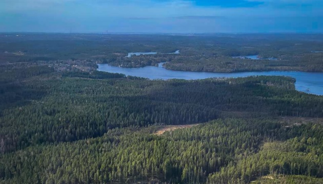 Частка заповідних земель у користуванні ДП «Ліси України» становить 16%