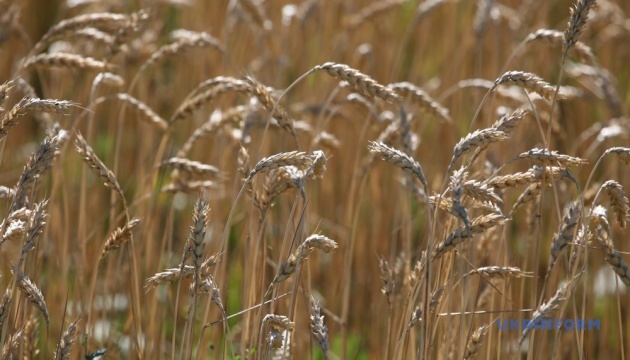 Україна офіційно приєдналась до міжнародної системи ePhyto