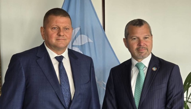 Ambassador Zaluzhnyi, IMO Secretary-General Dominguez discuss security of grain corridors