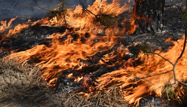 Waldbrände in Region Luhansk nähern sich Sjewjerodonezk