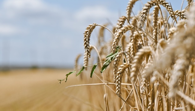 Ukraine already harvests over 28.5M tonnes of grain, oilseed crops