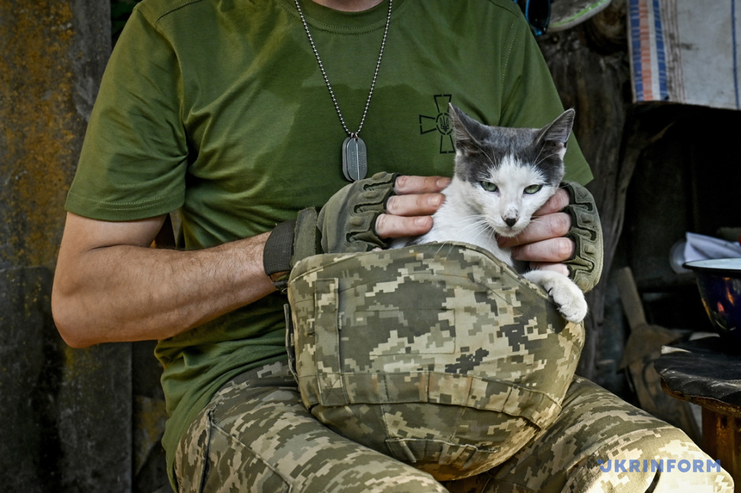 Фото: Дмитро Смольєнко