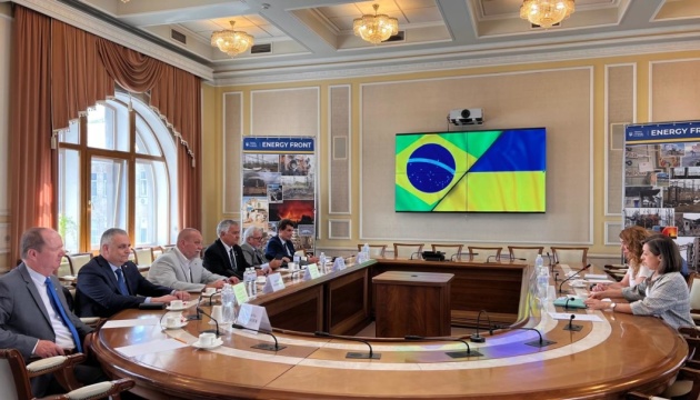 Ukrainian Energy Ministry, Brazilian parliament representatives discuss energy cooperation 