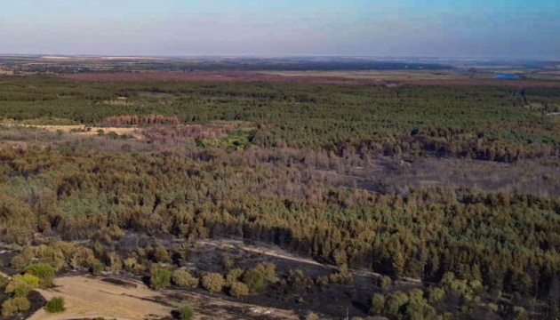 На Миколаївщині внаслідок пожежі в Андріївському урочищі знищені будинки та господарчі споруди