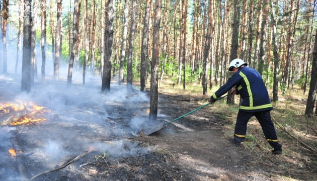 На Харківщині другу добу гасять пожежу в Балаклійському лісництві