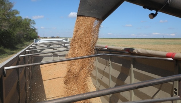 Ukraine already harvests over 31.9M tonnes of grain, oilseed crops