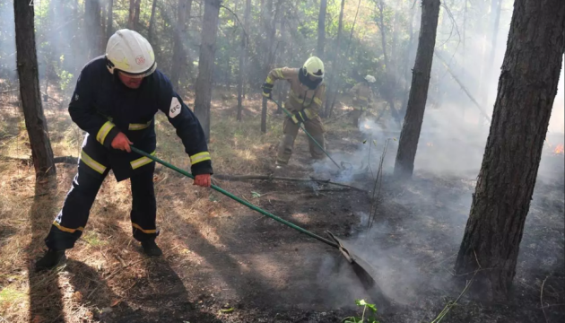 Горіло чотири доби: у Балаклійському лісництві ліквідували пожежу