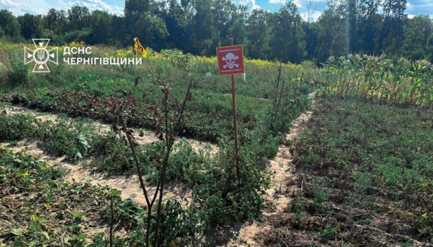 У ДСНС закликали не використовувати у господарстві таблички «Небезпечно, міни!»