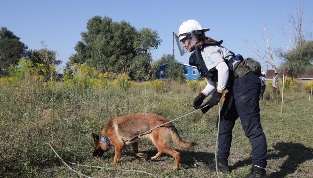 Ukraine to develop standard for involving dogs in humanitarian demining – Economy Ministry
