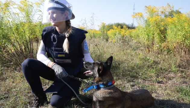 Female K9 teams to join humanitarian demining effort in Ukraine