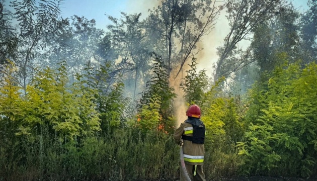 Через падіння боєприпасів та уламків виникли пожежі у двох районах Миколаївщини