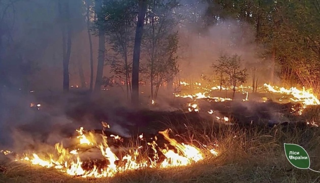 Після масованої атаки РФ на Кіровоградщині горіли майже 40 гектарів лісу