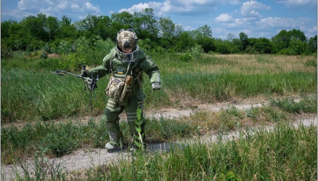 Ministry of Defense codified individual demining kit