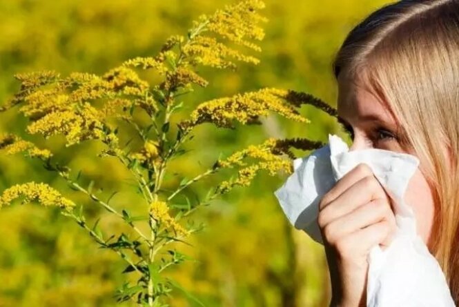 При тривалому нелікуванні алергії на рослини можуть розвиватися харчові алергічні перехрести. Фото: vn.20minut.ua При тривалому нелікуванні алергії на рослини можуть розвиватися харчові алергічні перехрести. Фото: vn.20minut.ua