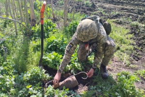 Demining Ukraine: 17,000 ha of liberated territory cleared in Sept