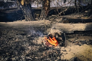 Dead wood burns in temporarily occupied Luhansk region: Russians block road