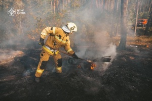 Grass burning in three districts of Kyiv - SES