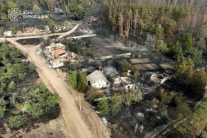 До Студенка на Харківщині, де вирувала лісова пожежа, повернулися понад 100 сімей