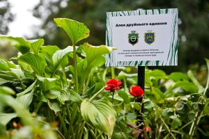 У Львові переселенці з Бахмута висадили алею троянд у пам'ять про втрачену домівку