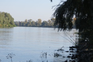 Якість води у місцях водозаборів Києва та Броварів відповідає нормі - Міндовкілля