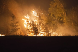 In Region Donezk tobt durch russischen Beschuss den zweiten Tag großer Waldbrand