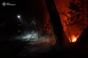 На Полтавщині через масштабну лісову пожежу евакуювали жителів села і пасажирів електрички