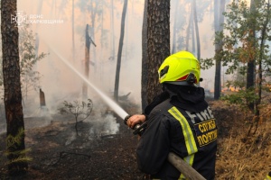 Firefighters extinguish forest fire near Kharkiv for almost day