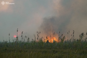 На Полтавщині лісова пожежа дісталася ще двох сіл