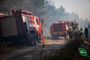 Самосійні ліси слід терміново передати під контроль держави, аби захистити від пожеж - Болоховець