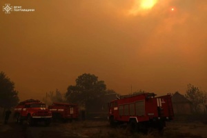 На Полтавщині третій день горить ліс - пожежа охопила близько 200 гектарів