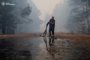 На Полтавщині четвертий день горить ліс, людей евакуювали із шести сіл