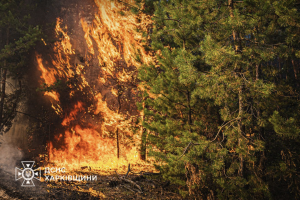 На Харківщині триває ліквідація шести лісових пожеж