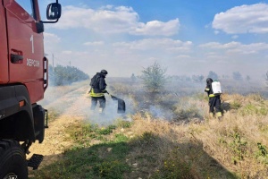 На Херсонщині ліквідували чотири пожежі в екосистемах, які виникли внаслідок обстрілів РФ