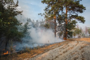 У Лиманському лісництві загасили пожежу, що тривала дев’ять днів