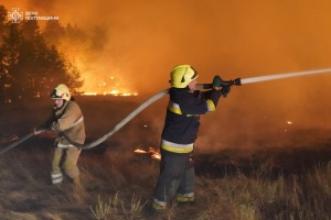 На Полтавщині ліквідували масштабну лісову пожежу, яка вирувала майже два тижні