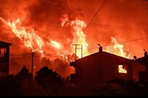 У Греції вирує масштабна лісова пожежа, є загиблі