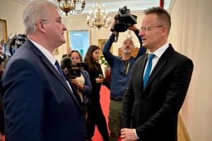 Sybiha,  Szijjártó discuss Zelensky's Victory Plan