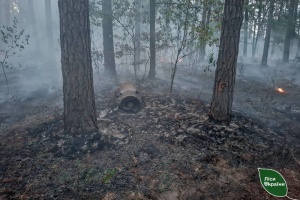 На Київщині гасять лісові пожежі після нічного ракетного обстрілу