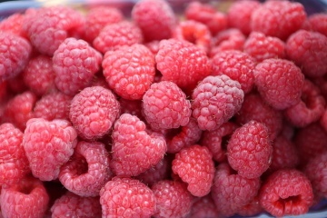 L'Ukraine augmente ses exportations de baies vers la France et l'Allemagne